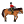 Horse, equestrian